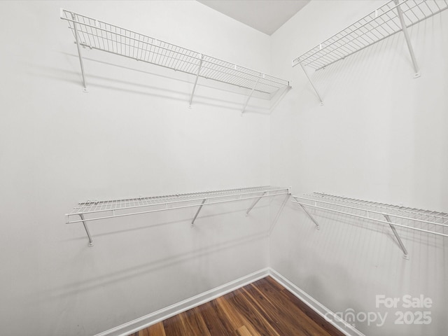 14321 San Paolo Ln, Charlotte, NC 28277 - photo 6