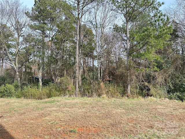 1345 Nia Rd, Charlotte, NC 28215 - view of local wilderness