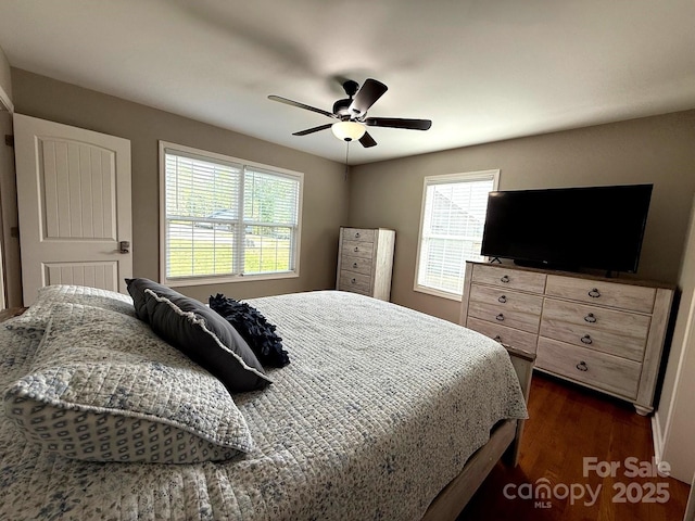 bedroom featuring dark wood-style flooring, ceiling fan, and multiple windows