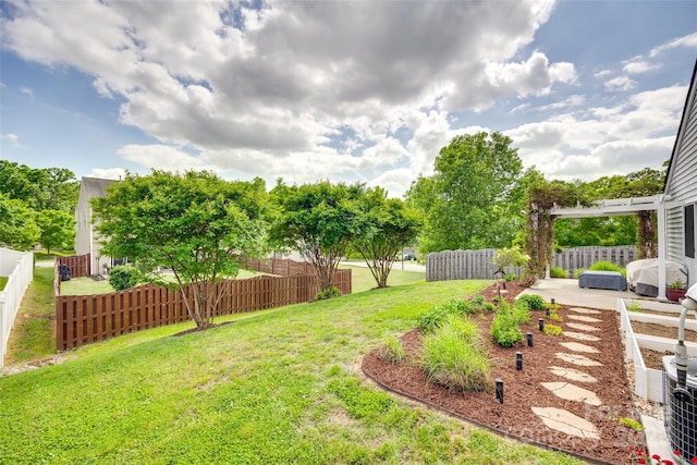 view of yard with a fenced backyard and a patio area