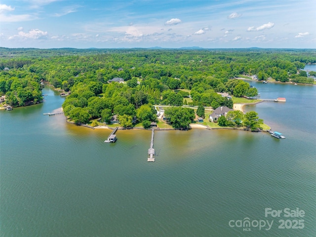 drone / aerial view with a view of trees and a water view