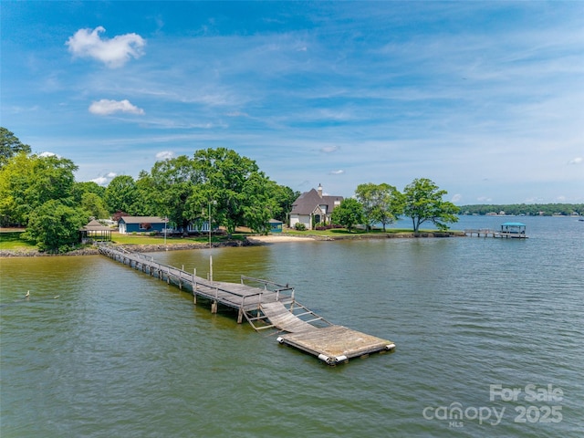 dock area with a water view