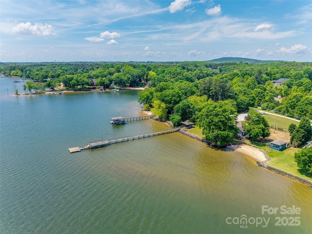 birds eye view of property featuring a water view and a forest view