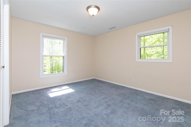 spare room with carpet floors, plenty of natural light, baseboards, and visible vents