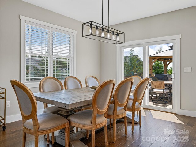 dining room featuring baseboards, dark wood-style flooring, and plenty of natural light