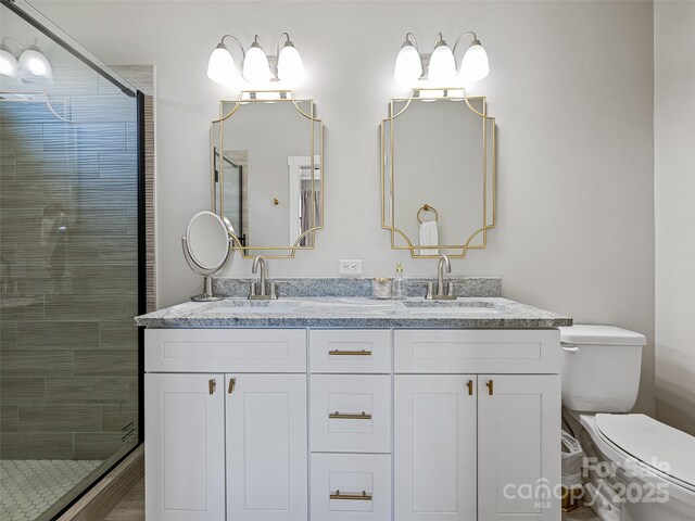 bathroom with a shower stall, toilet, and a sink