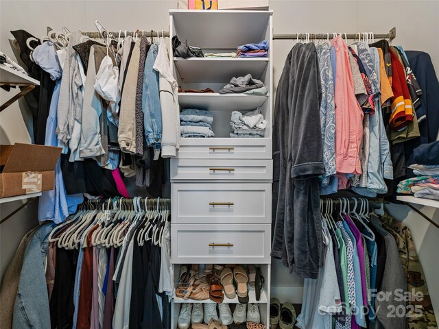 view of spacious closet