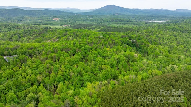 bird's eye view with a view of trees and a mountain view