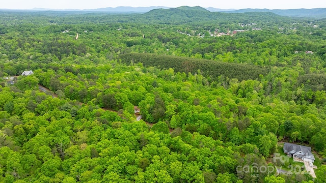 birds eye view of property featuring a mountain view and a wooded view