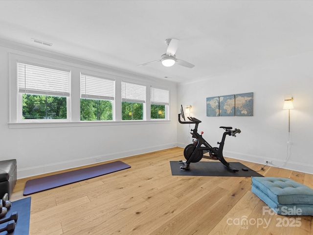 1614 Brook Rd, Charlotte, NC 28205 - exercise area featuring baseboards, ceiling fan, visible vents, and wood finished floors