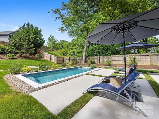1614 Brook Rd, Charlotte, NC 28205 - view of pool featuring a yard, a patio area, a fenced in pool, and a fenced backyard
