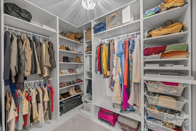 347 Wildbriar Rd Unit 28, Fletcher, NC 28732 - view of walk in closet