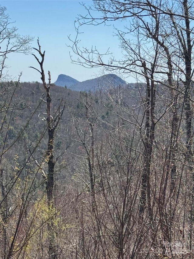 7668 Turtle Rock Rd, Newland, NC 28657