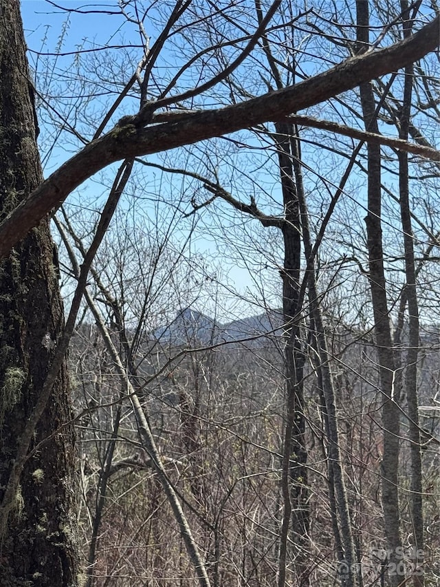 7668 Turtle Rock Rd, Newland, NC 28657
