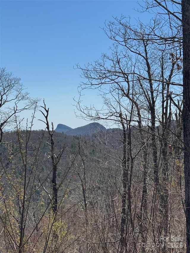 7668 Turtle Rock Rd, Newland, NC 28657
