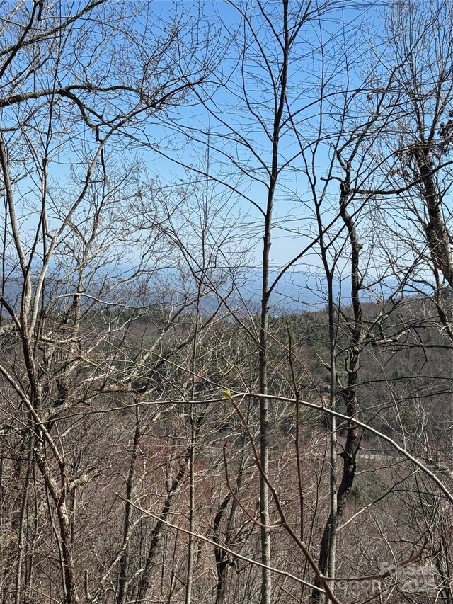 7668 Turtle Rock Rd, Newland, NC 28657