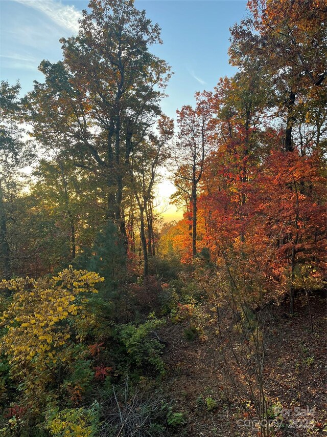 view of nature with a forest view