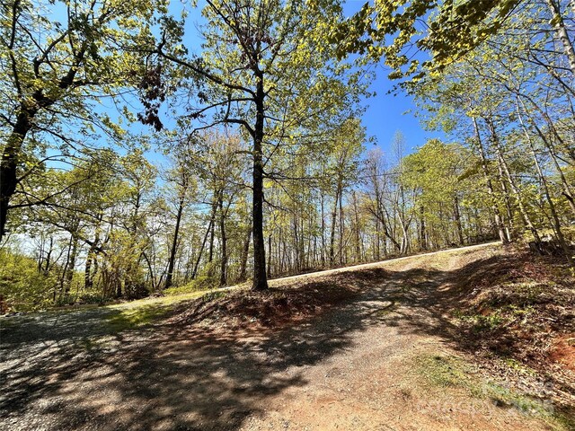 view of road featuring a forest view