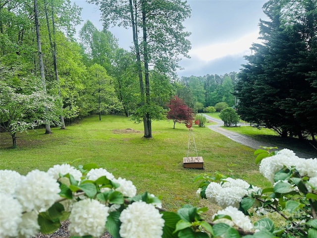 3110 Mentink Way, Nebo, NC 28761 - view of grassy yard with a wooded view