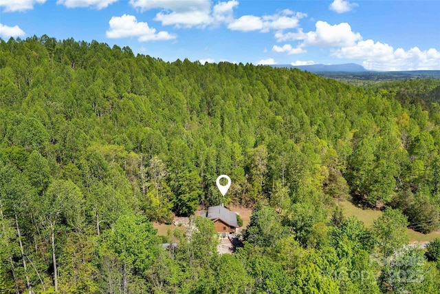 3110 Mentink Way, Nebo, NC 28761 - aerial view of a forest