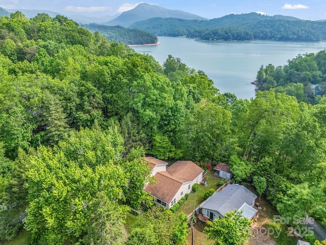 125 Snug Harbor Cir, Lake Lure, NC 28746 - bird's eye view with a water and mountain view and a forest view