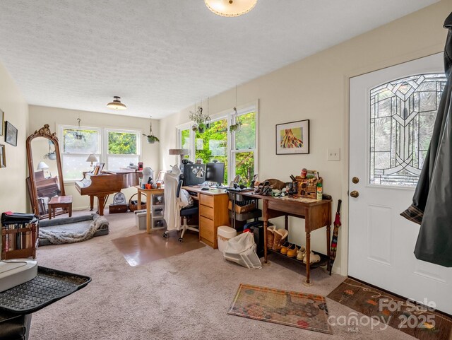 125 Snug Harbor Cir, Lake Lure, NC 28746 - entryway featuring a textured ceiling, carpet flooring, and plenty of natural light