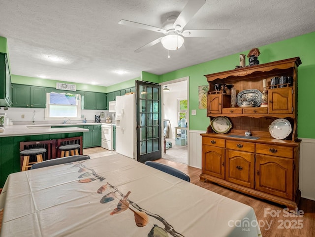 125 Snug Harbor Cir, Lake Lure, NC 28746 - bedroom featuring white fridge with ice dispenser, light wood-style flooring, a textured ceiling, a sink, and a wainscoted wall