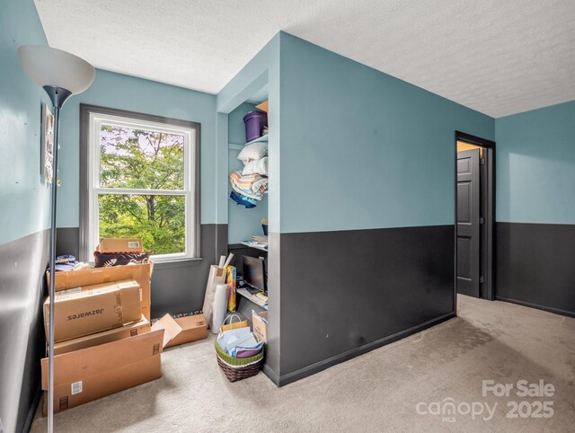 125 Snug Harbor Cir, Lake Lure, NC 28746 - carpeted bedroom with a textured ceiling