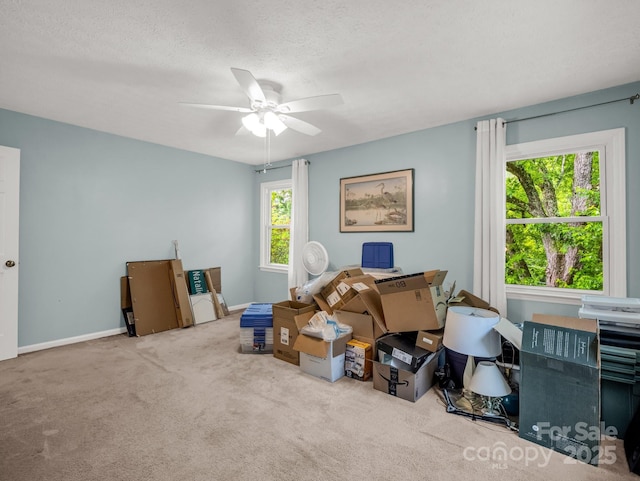125 Snug Harbor Cir, Lake Lure, NC 28746 - miscellaneous room with baseboards, a textured ceiling, ceiling fan, and carpet
