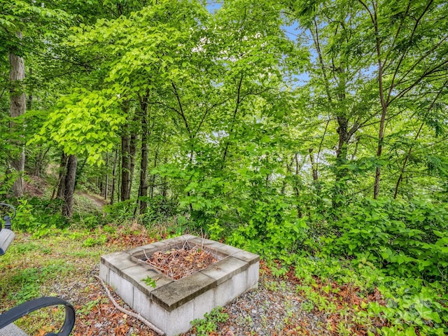 125 Snug Harbor Cir, Lake Lure, NC 28746 - view of yard with an outdoor fire pit