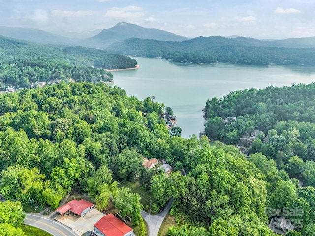 125 Snug Harbor Cir, Lake Lure, NC 28746 - aerial view featuring a wooded view and a water and mountain view