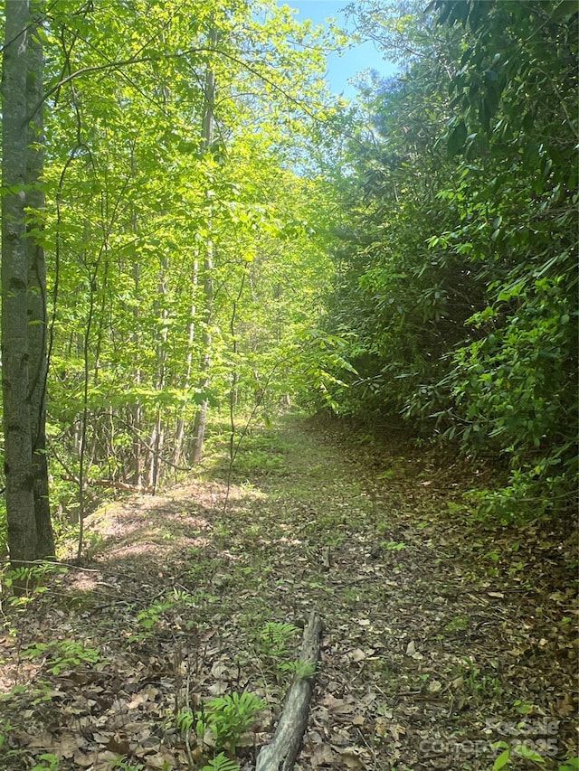 00 Cliffside Dr, Hayesville, NC 28904