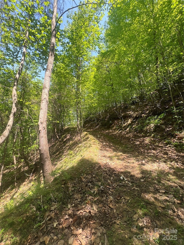 00 Cliffside Dr, Hayesville, NC 28904