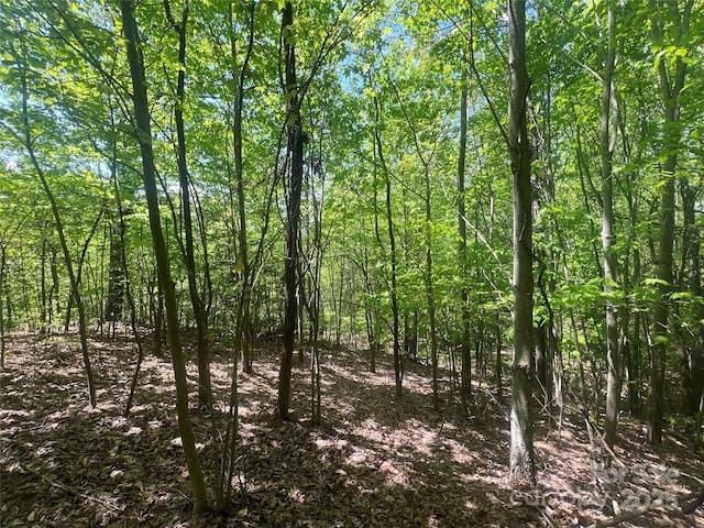 00 Cliffside Dr, Hayesville, NC 28904