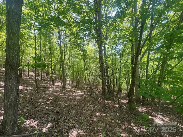 00 Cliffside Dr, Hayesville, NC 28904