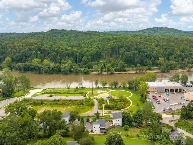 1061 Riverside Dr, Asheville, NC 28804 - photo 20
