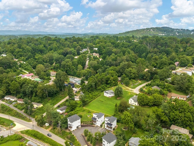 1061 Riverside Dr, Asheville, NC 28804 - photo 21