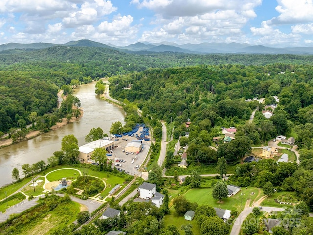 1061 Riverside Dr, Asheville, NC 28804 - photo 22