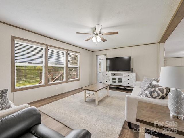 123 Big Oak Rd, Hendersonville, NC 28792 - photo 4