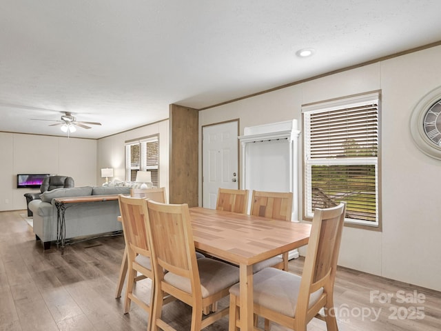 123 Big Oak Rd, Hendersonville, NC 28792 - photo 10