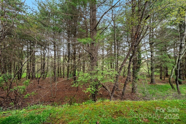 view of nature with a forest view