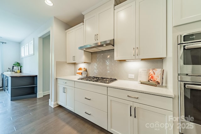kitchen featuring white cabinets, appliances with stainless steel finishes, wood finished floors, tasteful backsplash, and under cabinet range hood