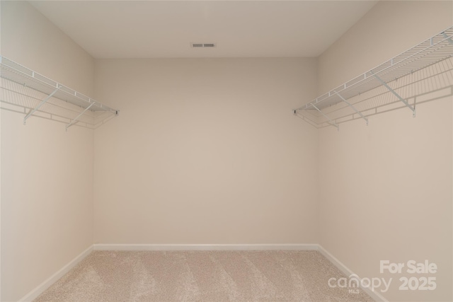 12017 Grinstead Ln Unit 301, Charlotte, NC 28278 - walk in closet featuring carpet flooring