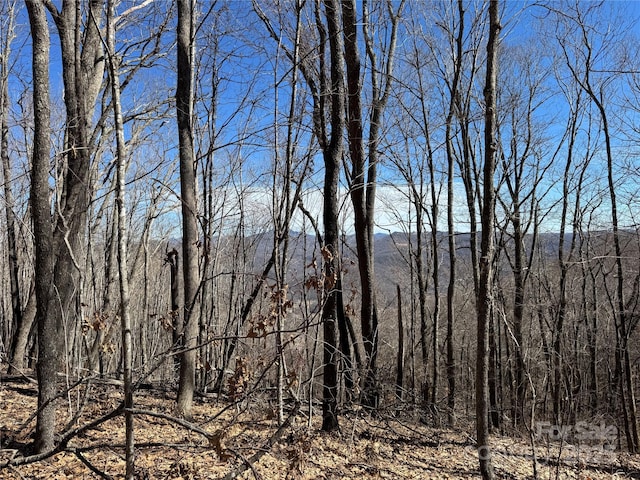 TBD Doublehead Mountain Rd, Newland, NC 28657