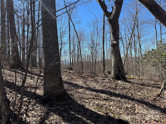 TBD Doublehead Mountain Rd, Newland, NC 28657