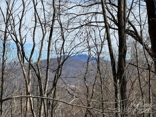 TBD Doublehead Mountain Rd, Newland, NC 28657