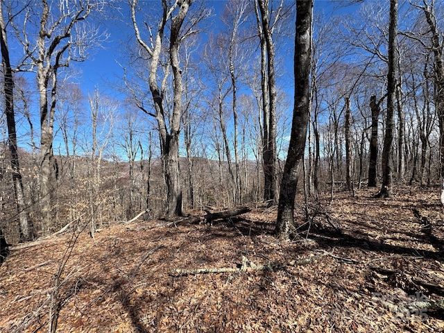 TBD Doublehead Mountain Rd, Newland, NC 28657