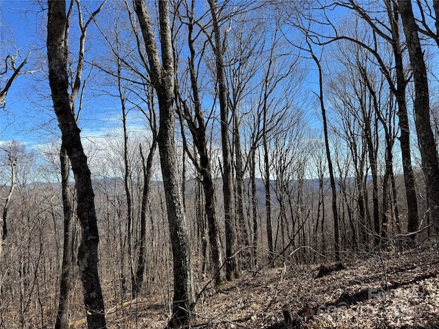 TBD Doublehead Mountain Rd, Newland, NC 28657