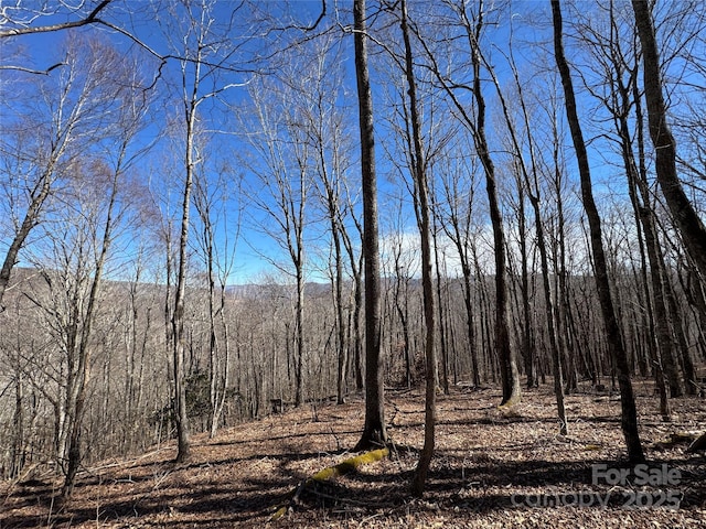 TBD Doublehead Mountain Rd, Newland, NC 28657
