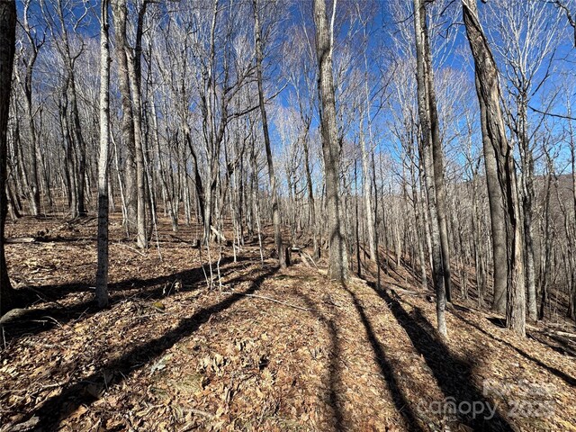 TBD Doublehead Mountain Rd, Newland, NC 28657